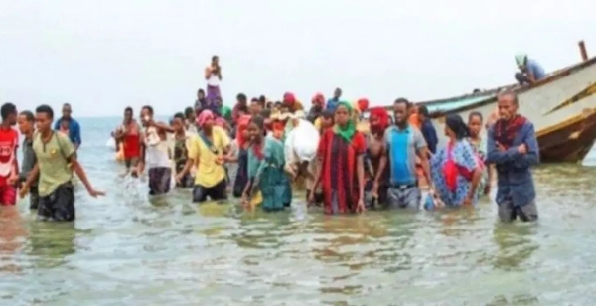 وصول أكثر من 600 مهاجر أفريقي غير شرعي إلى شبوة