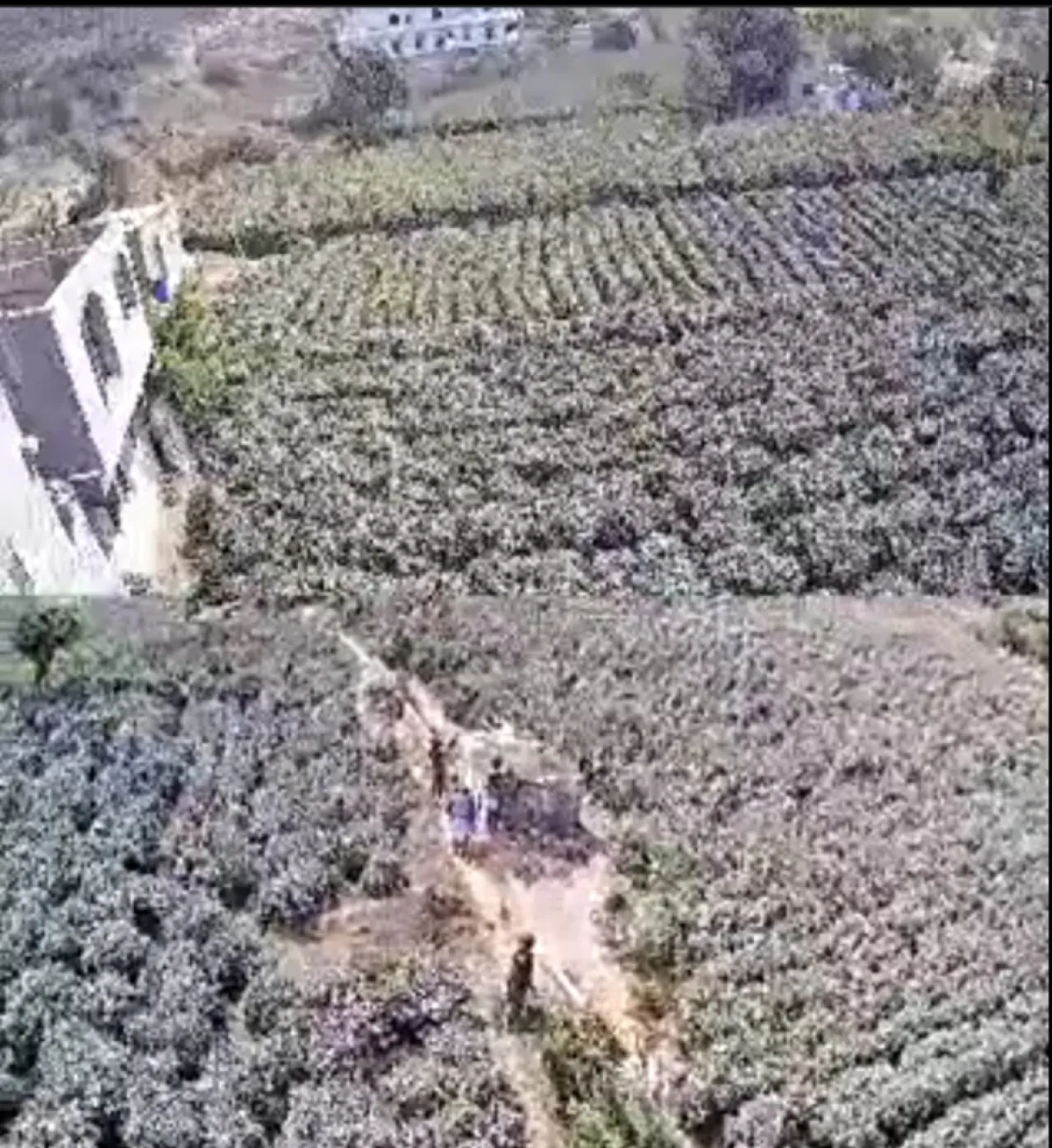 إصابة مواطن ونهب منزله برصاص مسلحين تابعين لشرطة المخادر شمال إب