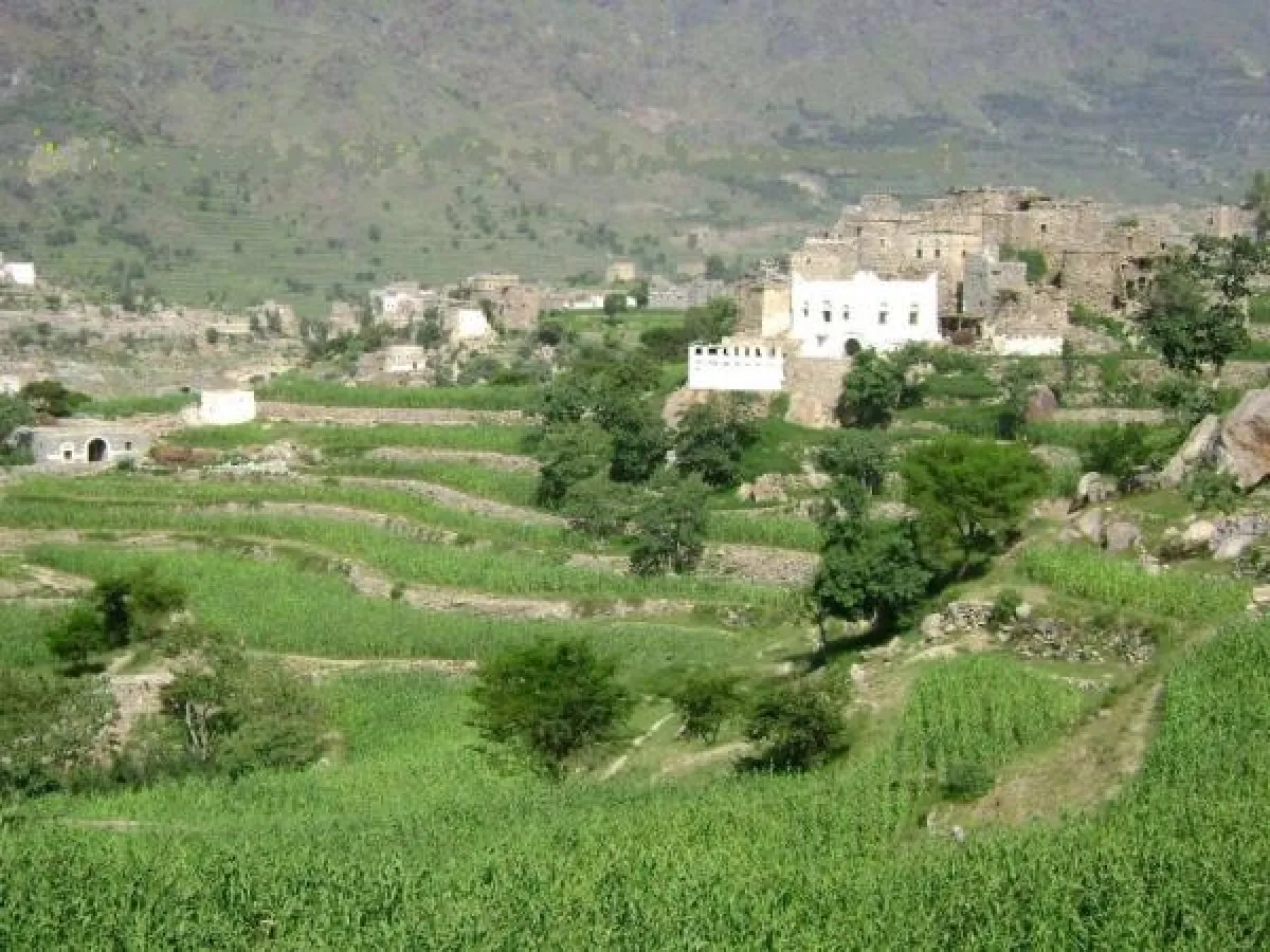 إب.. مقتل امرأة طعنا داخل منزلها في ظروف غامضة