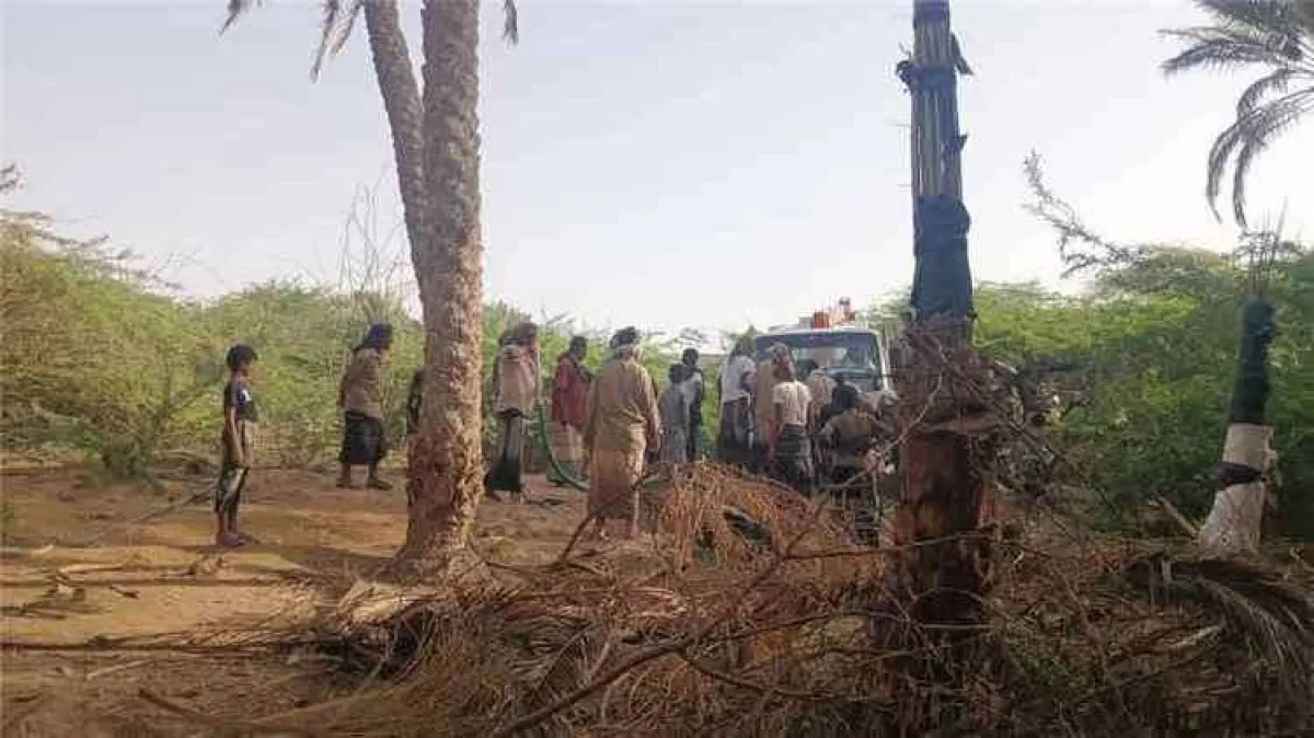 حريق يلتهم عشرات النخيل ويضر بمنازل في وادي رضوم بشبوة