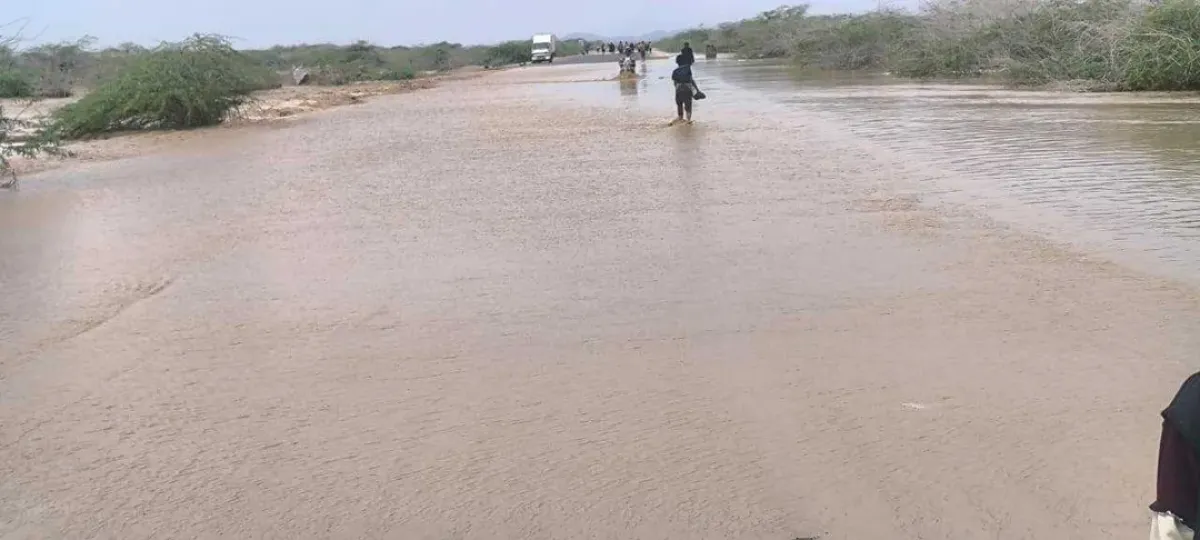 أبين: السيول تجرف 405 صناديق نحل وتخلف خسائر بأكثر من 20 مليون ريال